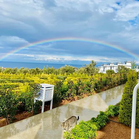 Premium Home: Bungalow-apartment Mit Rooftop Nahe Golfclub & Apartment